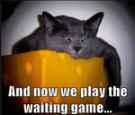 feature_waitinggamecat