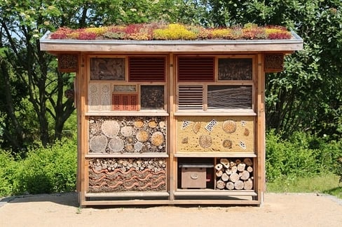 science projects 3 year olds insect hotel