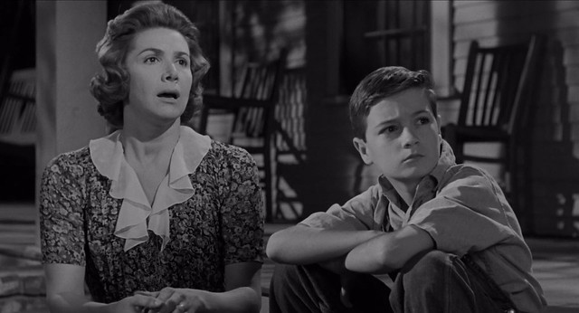 18 Critical To Kill a Mockingbird Quotes, Explained