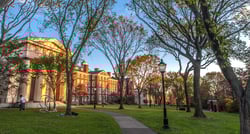 Brown common app essays picture