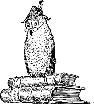 owl-31691_640-1.png