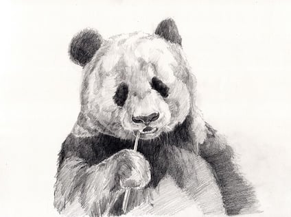 panda-841601_640.jpg