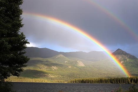 university of california transfer essay prompts rainbow-436171_640.jpg