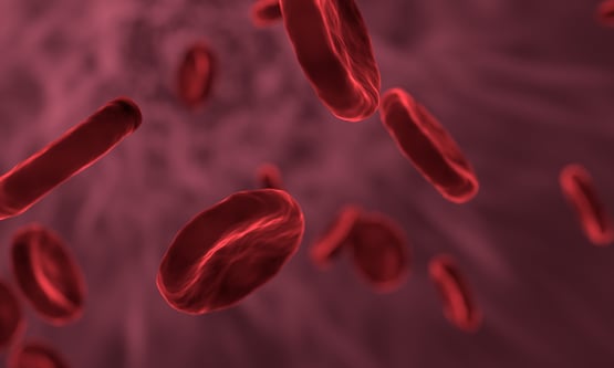 red-blood-cells-3188223_1280