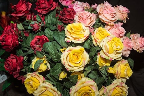 Rose Color Meanings List: Yellow, Red, Pink, White and More
