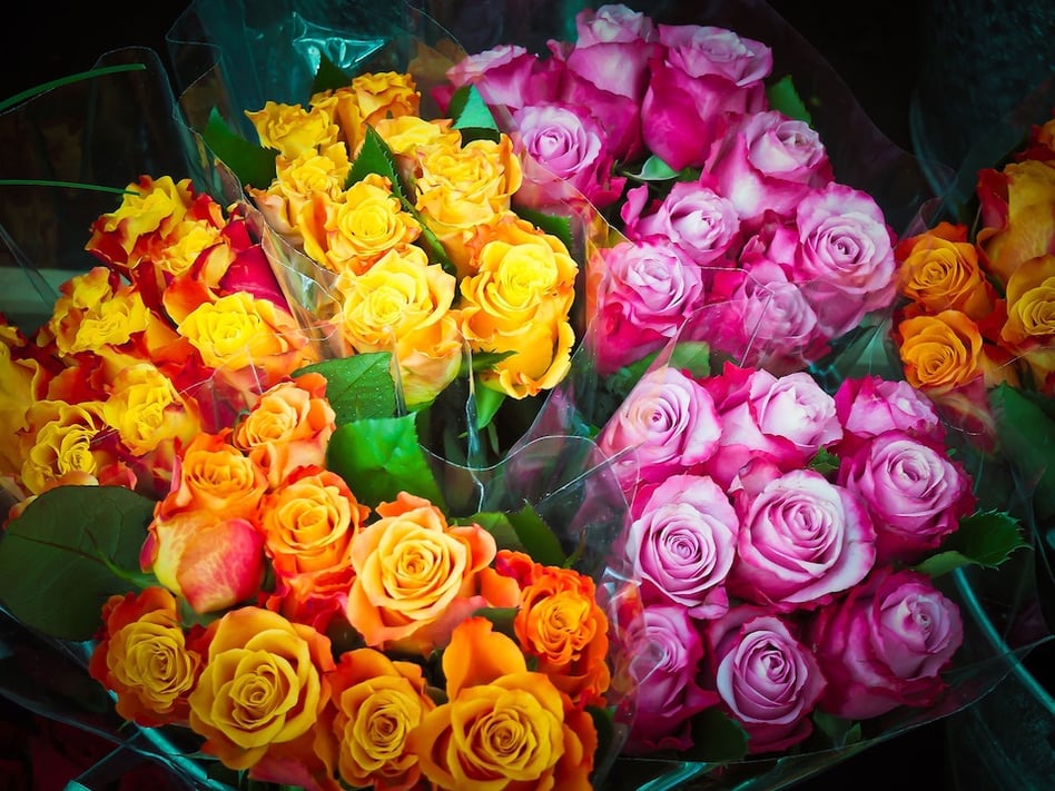 11 Rose Color Meanings to Help You Pick the Perfect Bouquet