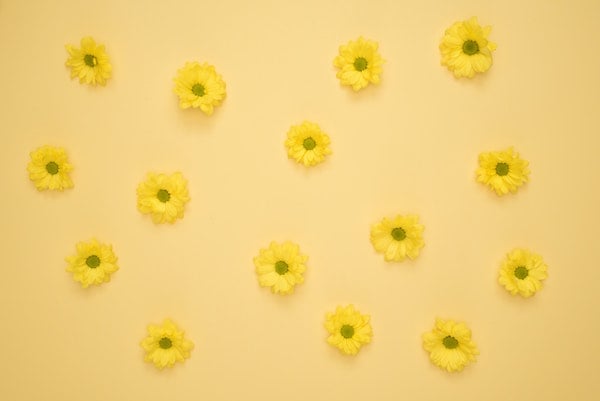 Understanding The Yellow Wallpaper