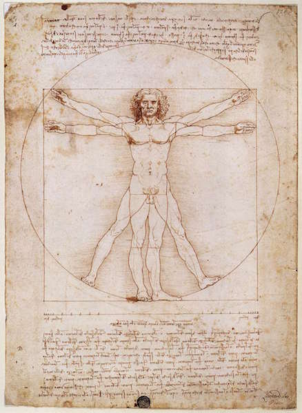 body_Vitruvian.jpg