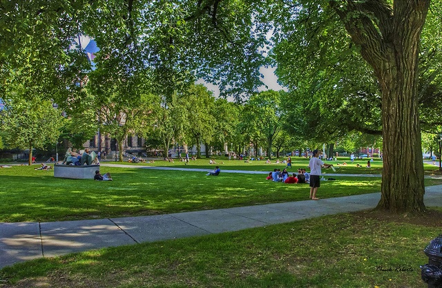 brown university creative writing department