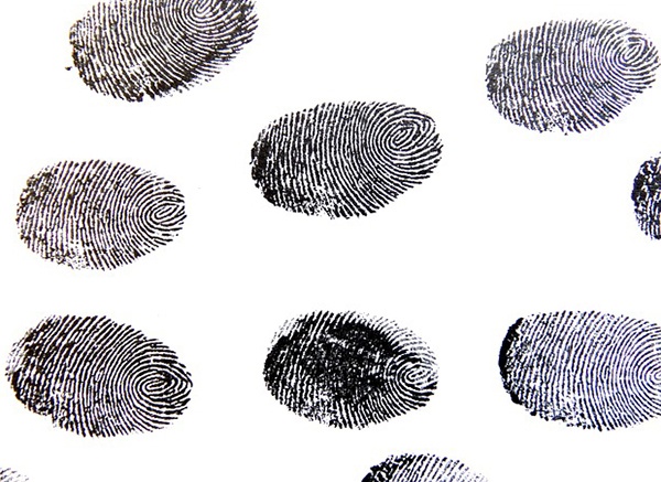 body_fingerprints.jpg