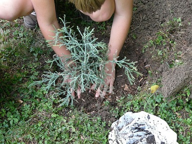 body_gardening