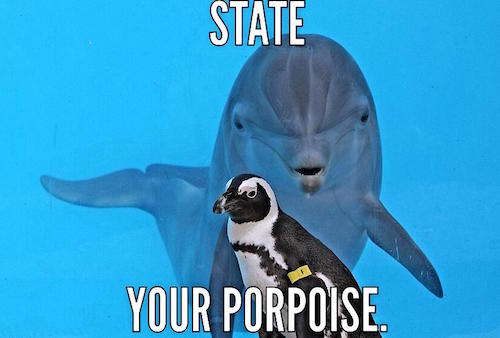 body_purposeporpoise.jpg