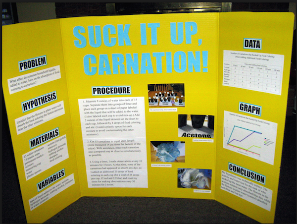 psychology science fair projects college